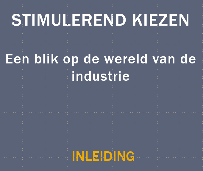 S(t)imulerend kiezen
