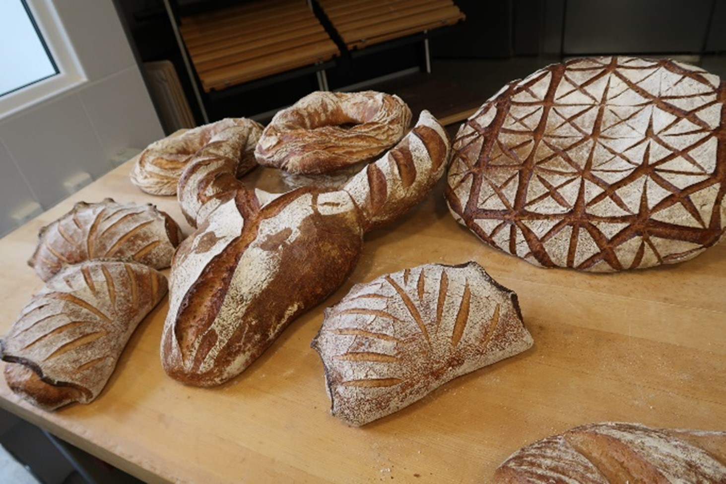 studiereis duitsland 2024 - ireks - broodcreatie